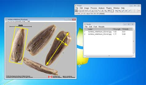 measure coating thickness imagej|imagej retina thickness.